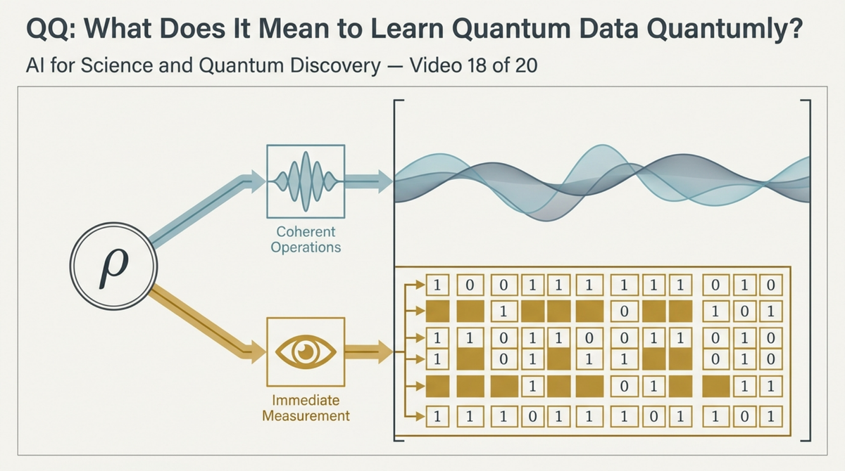 18. QQ: What Does It Mean to Learn Quantum Data Quantumly?