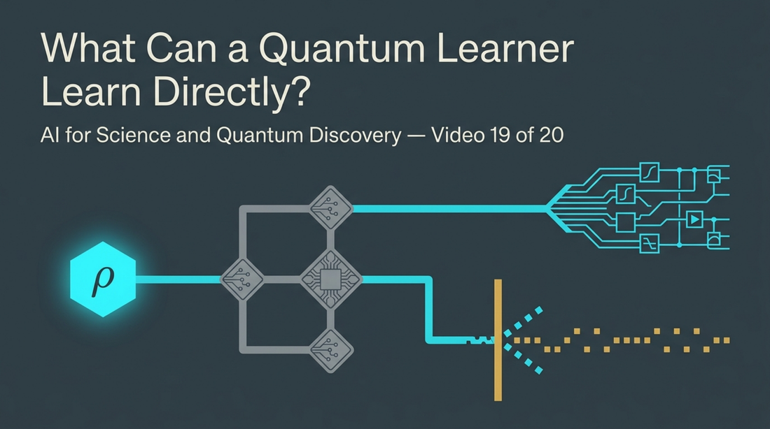 19. What Can a Quantum Learner Learn Directly?